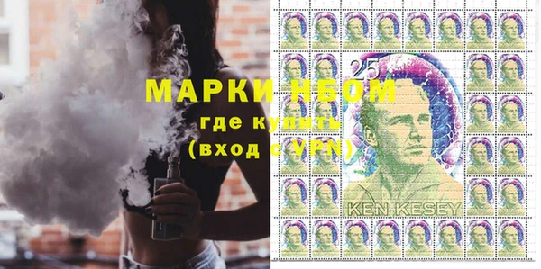 молекула духа Вяземский