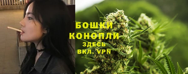 молекула духа Вяземский