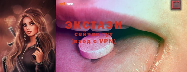 молекула духа Вяземский