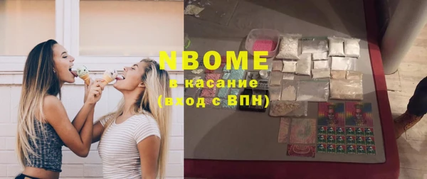 молекула духа Вяземский