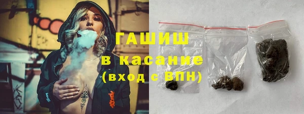 молекула духа Вяземский