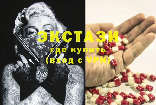 молекула духа Вяземский