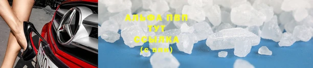 молекула духа Вяземский