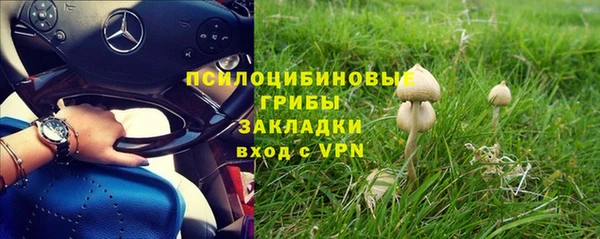 эйфоретик Вязьма