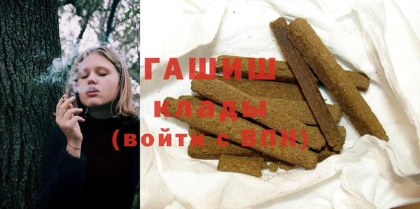 молекула духа Вяземский