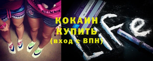 молекула духа Вяземский