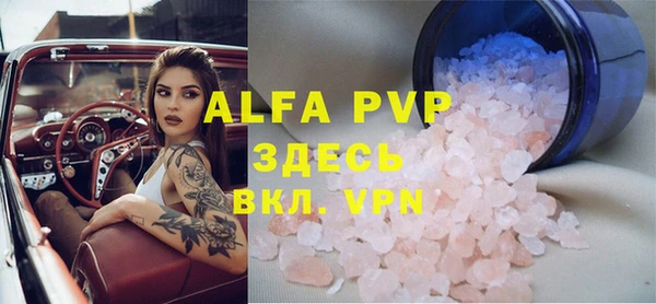 молекула духа Вяземский