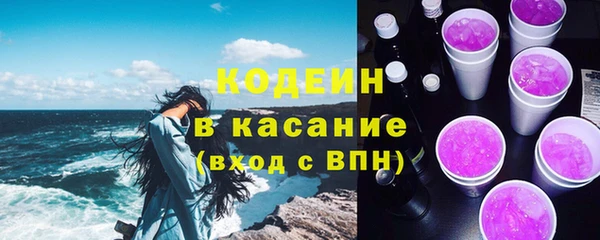 молекула духа Вяземский