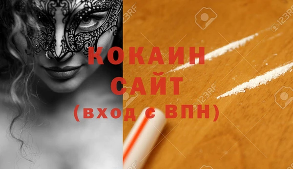 молекула духа Вяземский