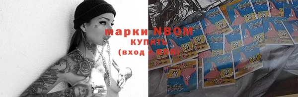 молекула духа Вяземский