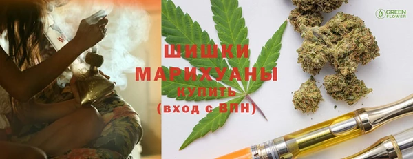 молекула духа Вяземский