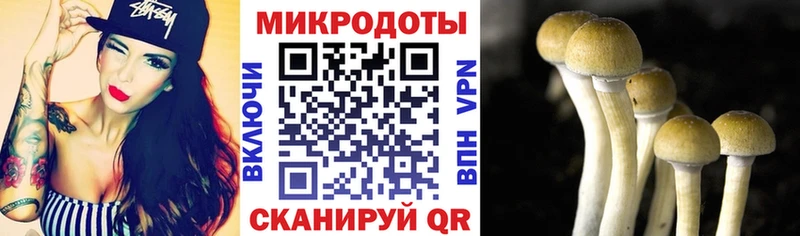 Галлюциногенные грибы Magic Shrooms  Купить закладки  Буйнакск 